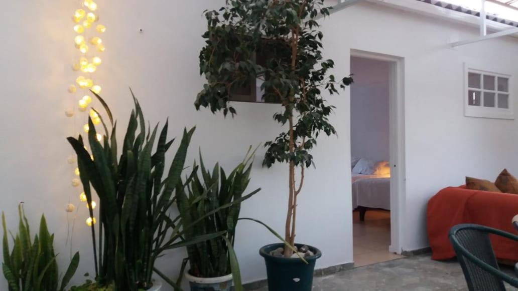 Hostal Casa 95 Vicuna Exterior photo